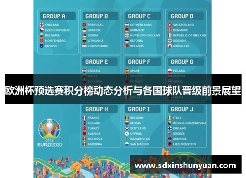 欧洲杯预选赛积分榜动态分析与各国球队晋级前景展望