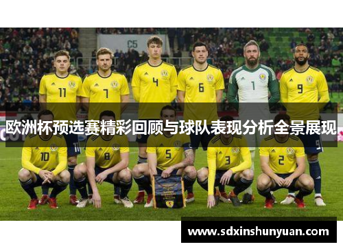 欧洲杯预选赛精彩回顾与球队表现分析全景展现