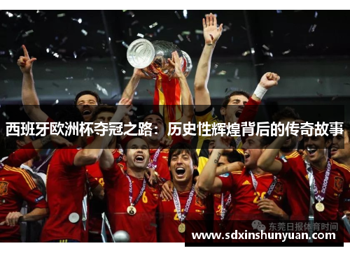 西班牙欧洲杯夺冠之路：历史性辉煌背后的传奇故事