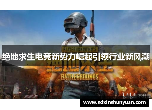 绝地求生电竞新势力崛起引领行业新风潮