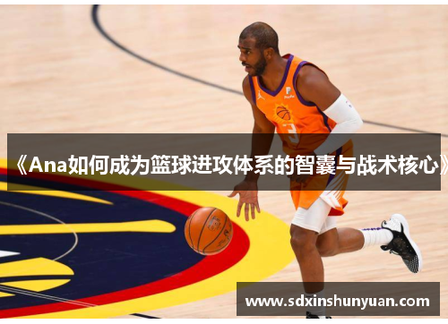《Ana如何成为篮球进攻体系的智囊与战术核心》