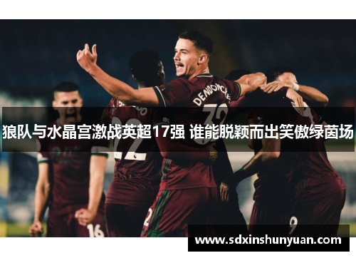 狼队与水晶宫激战英超17强 谁能脱颖而出笑傲绿茵场