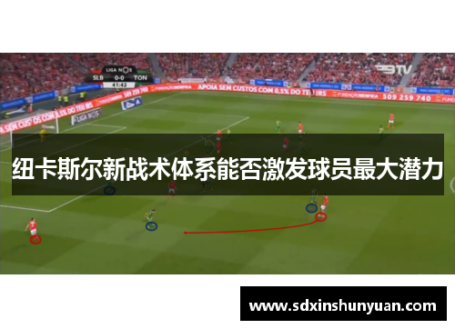 纽卡斯尔新战术体系能否激发球员最大潜力